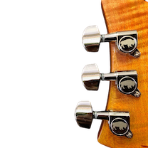 Read more about the article Why the Bighorn?